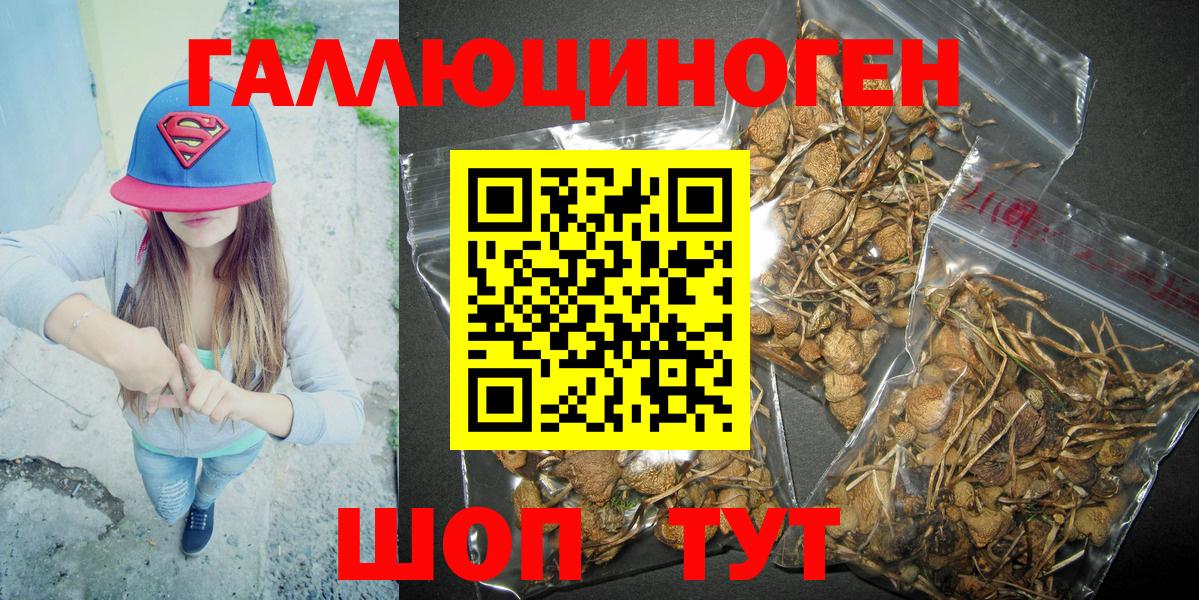 Домодедово  Псилоцибиновые грибы MAGIC MUSHROOMS  Вход с VPN 