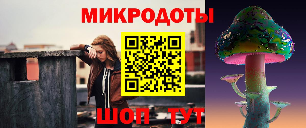 Галлюциногенные грибы Psilocybe Домодедово